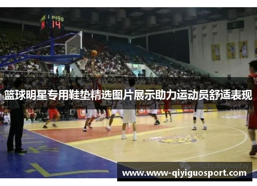 篮球明星专用鞋垫精选图片展示助力运动员舒适表现