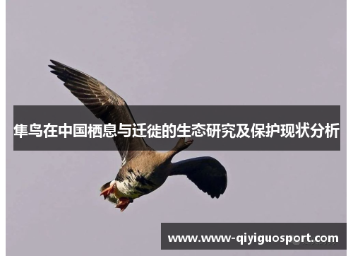 隼鸟在中国栖息与迁徙的生态研究及保护现状分析